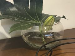 -赤火牛排(金狮广场店)