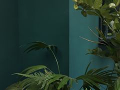 -So Acai(天河店)