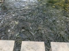 -咸阳湖景区-古渡公园