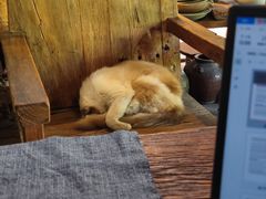 -老屋咖啡