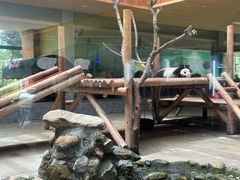 -西安秦岭野生动物园