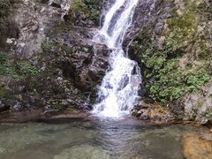-永州阳明山国家森林公园