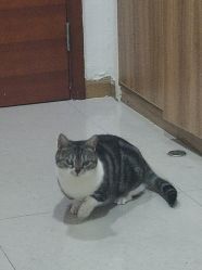 -小部落•刺青•穿孔饰品•海娜纹身