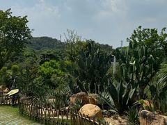 -东莞植物园