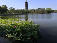 -西海子公园