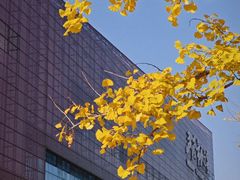-武汉市民之家