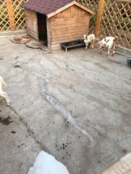 -萌宠亲子动物乐园(槐房万达店)