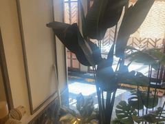 -艺水间水汇