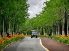 -天津东丽湖风景区