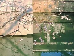 -无锡梅园公园