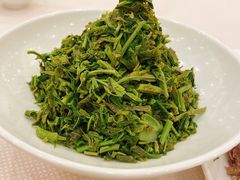 凉拌香椿芽-石浦大酒店(百丈店)