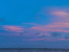 -碧海金沙