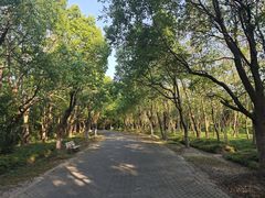 -上海海湾国家森林公园