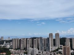 -板樟山森林公园