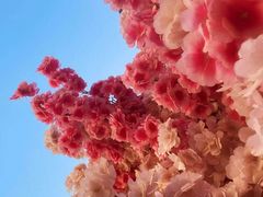 -三月居酒屋(青年大街店)