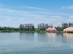 -上海长兴岛郊野公园