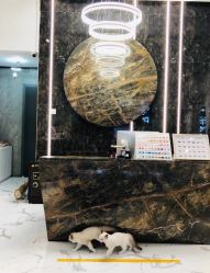 点击看大图 -Tipo Hair salon(明星)店