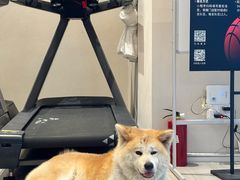 -YCHL Studios健身工作室(市二宫店)