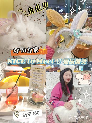 兔兔那么可爱，还不快来rua兔兔！