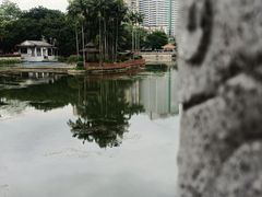 -荔湾湖公园