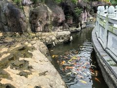 -广州莲花山旅游区