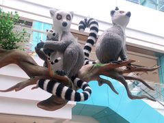 -大族广场Mall&More