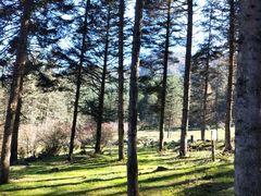 -硗碛藏寨·神木垒景区