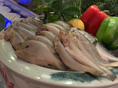 -厦门艾美酒店·新食谱西餐厅