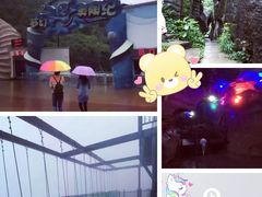 -梦幻奥陶纪景区