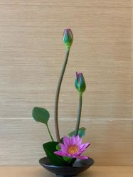 -圣贝拉母婴护理中心(广州瑰丽店)