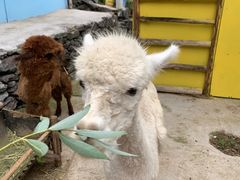 -西部长青自然儿童乐园