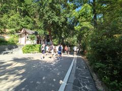 -岳麓山风景名胜区