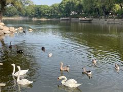 -石家庄市动物园