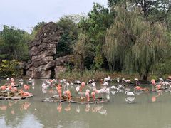 -宁波野生动物园