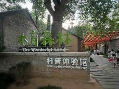 -日照海滨国家森林公园