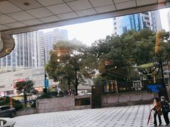 -避风塘·金牌店·夜宵(金玉兰店)