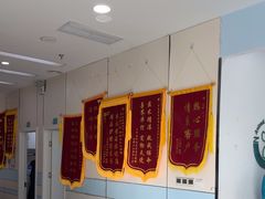 -中农国际动物医院24小时·猫科·骨科·急重症中心