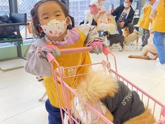 -怪兽屋·羊驼·猫咖·狗咖(俊华广场店)