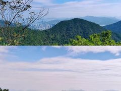 -梧桐山风景名胜区