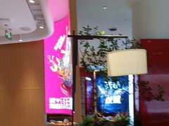 -老板恋上鱼(恒隆广场店)