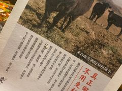 -受气牛肉·耙牛肉火锅(水晶郦城店)