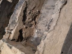 -秦始皇帝陵博物院-丽山园