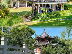 -四海公园(南山区)