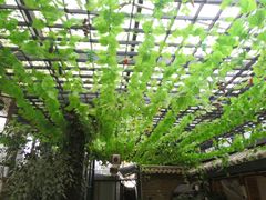 -阿鹏故事云南野生菌火锅(人民路店)
