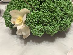 -泓历皇朝酒店(东亭店)