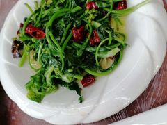 -望江饭店(13年精品店)