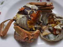 -黄记大闸蟹专卖店·活蟹·醉蟹