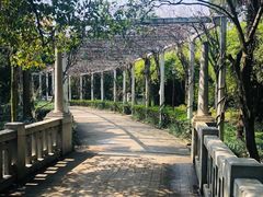-叶家花园
