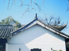 -东山雕花楼