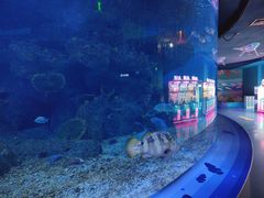 -沙沙哗啦海洋馆(华宇百花谷店)